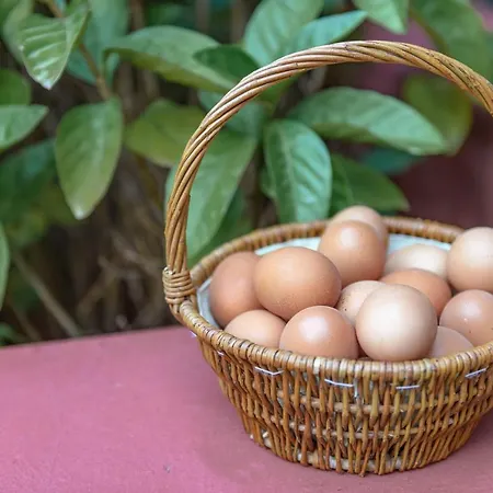 Rural Longueras Πανσιόν 3*